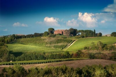 Montalcino: Brunello Wine Tasting & Lunch in a Tuscan Castle - The 15-Minute Rule at Castello Tricerchi (and Why It Matters)