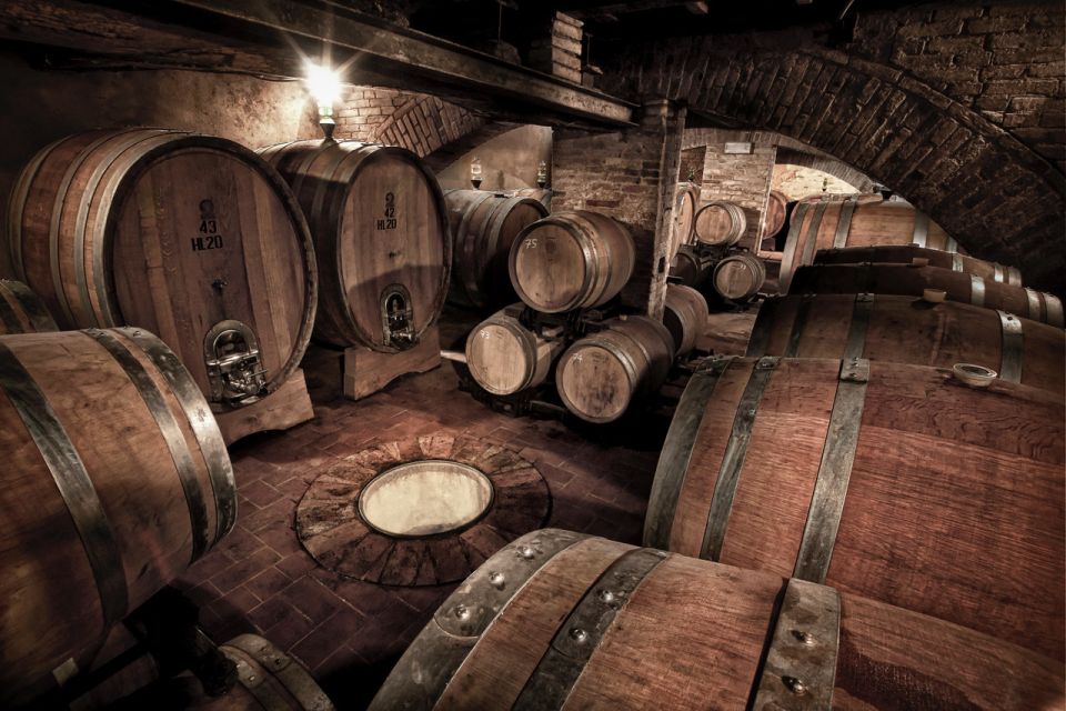 Montalcino: Brunello Wine Tasting & Lunch in a Tuscan Castle - The Vineyard Stroll: Views, Sangiovese Talk, and Real Production Clues