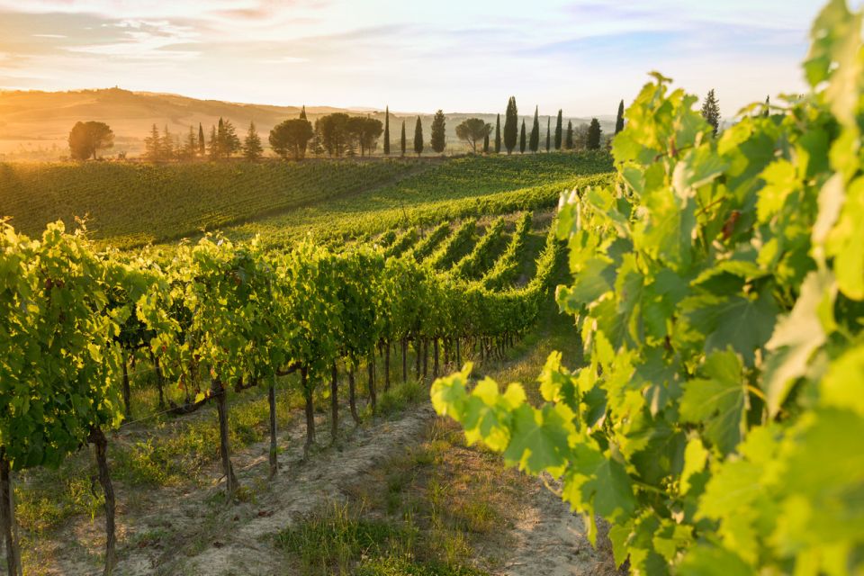 Montalcino: Brunello Wine Tasting & Lunch in a Tuscan Castle - Price and Value: Is $69 Reasonable for a 90-Minute Castle Visit?