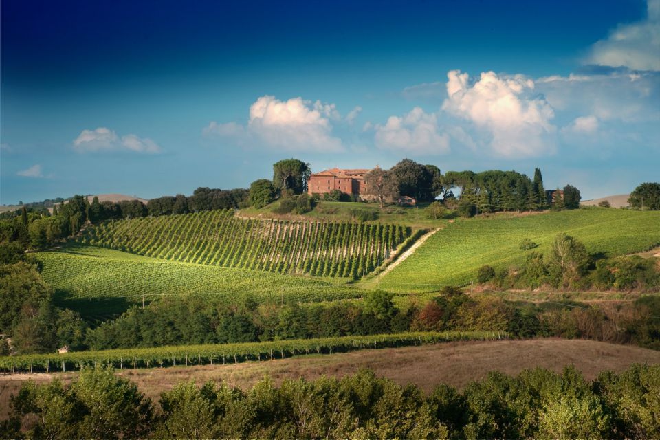 Montalcino: Brunello Wine Tasting & Lunch in a Tuscan Castle - The 15-Minute Rule at Castello Tricerchi (and Why It Matters)