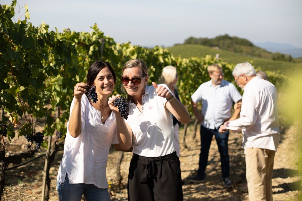 Montalcino: Guided Winery Tour and Wine Tasting - Key things that make this tour worth your time
