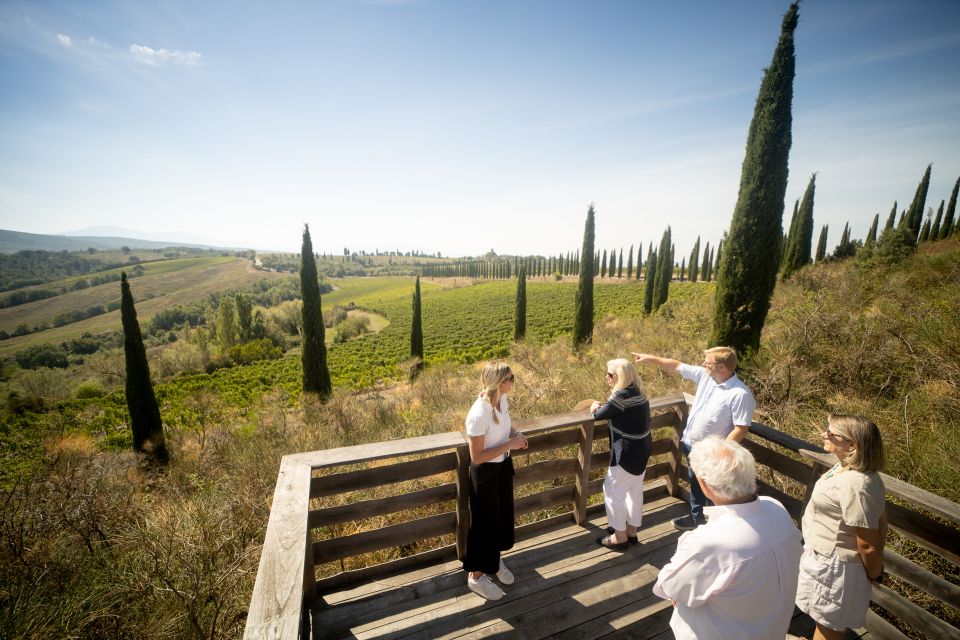 Montalcino: Guided Winery Tour and Wine Tasting - Grapes to wine in real spaces: processing and the cross-vaulted cellar