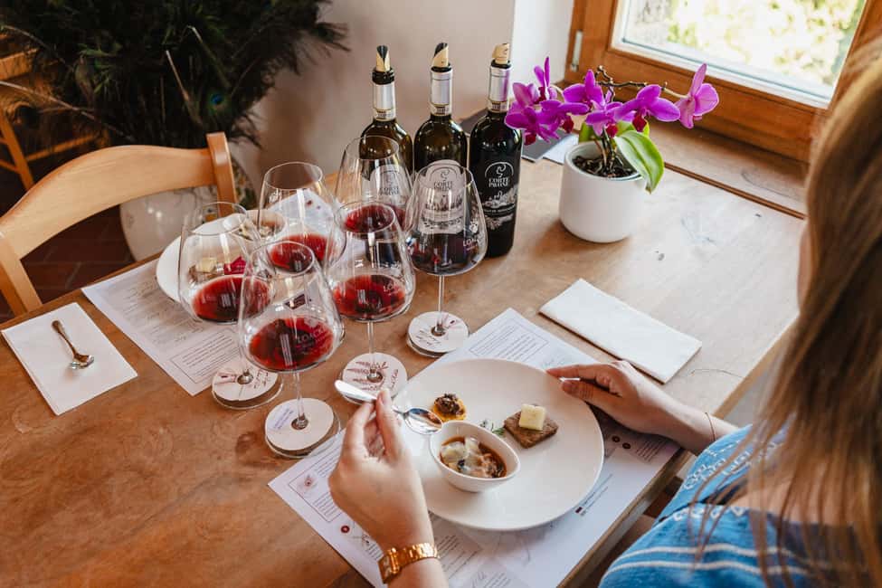 Montalcino: Guided Winery Tour & Gourmet Food Tasting - Key highlights you’ll feel right away