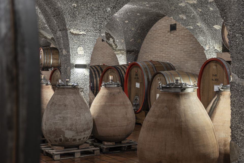 Montalcino: Guided Winery Tour & Gourmet Food Tasting - Wine tasting format: six wines, three flights, smart comparisons
