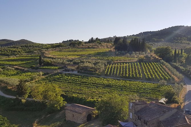 Montefioralle Winery - Tour and Wine Tasting in Chianti - Stop 1: Montefioralle Winery and the Working-Process Tour