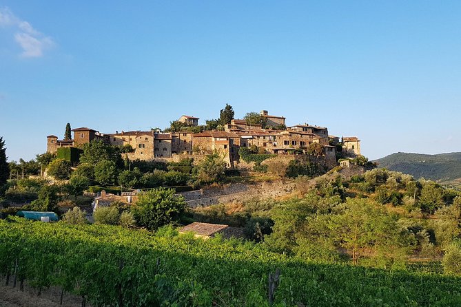 Montefioralle Winery - Tour and Wine Tasting in Chianti - Snack Pairings That Actually Make Sense
