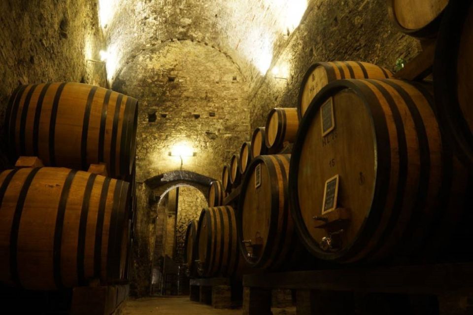 Montepulciano: Wine Tasting and Cellar Tour - Inside the 1-hour Walkthrough: barrels, wood, and the soil story