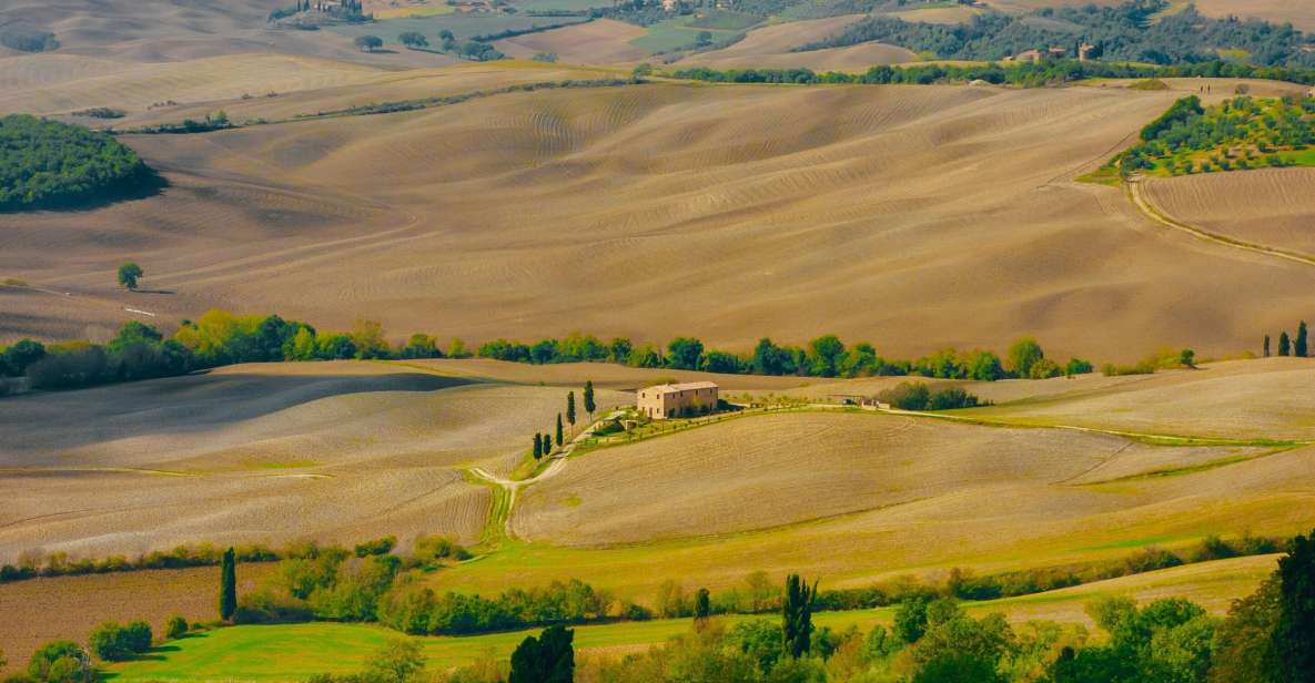 Montepulciano: Wine Tasting & Lunch in a Typical Winery - Key highlights worth showing up for