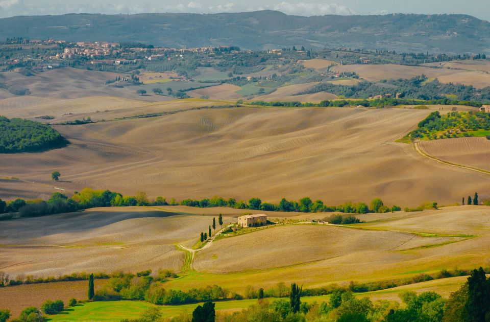 Montepulciano: Wine Tasting & Lunch in a Typical Winery - The 90-minute flow: cellar tour, snacks, and four DOCG pours