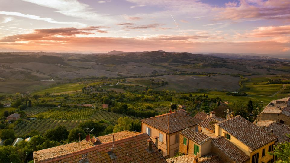 Montepulciano: Winery Tour and Tasting - Talosa Cantina Storica: where the cellar visit really starts