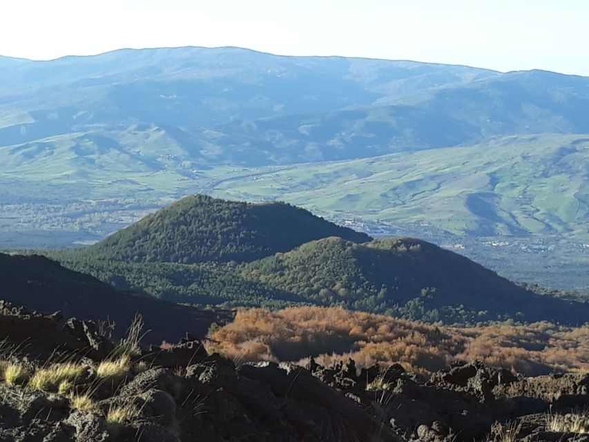 Mount Etna: Half-Day Guided Tour and Hike - Who should book this Mount Etna half-day tour