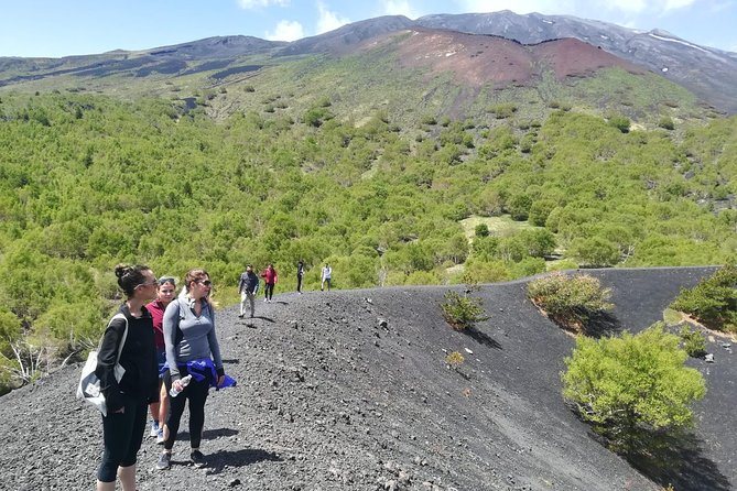 Mount Etna Half-Day Small Group Tour from Taormina - Key highlights worth your time