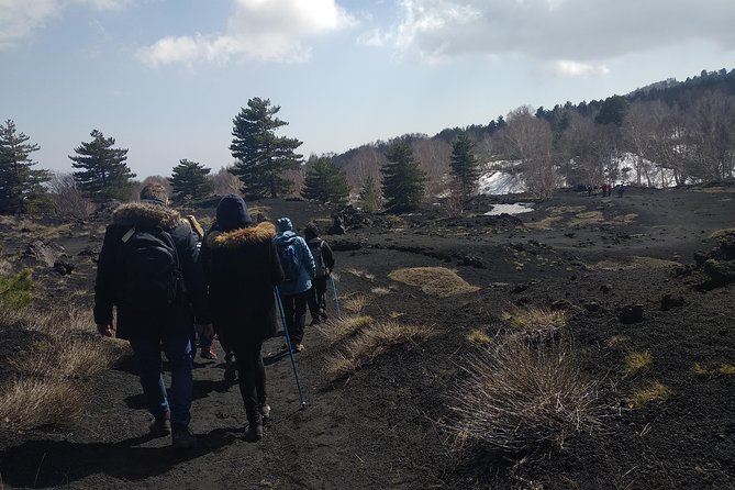 Mount Etna Half-Day Small Group Tour from Taormina - Monti Sartorius: craters and lava caves to start strong