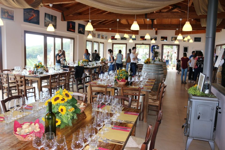 Mount Etna: Winery Tour and Tasting - Mount Etna Winery Tour and Tasting: what you’re really booking