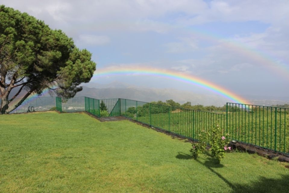 Mount Etna: Winery Tour and Tasting - Views, setting, and why the Etna slope matters