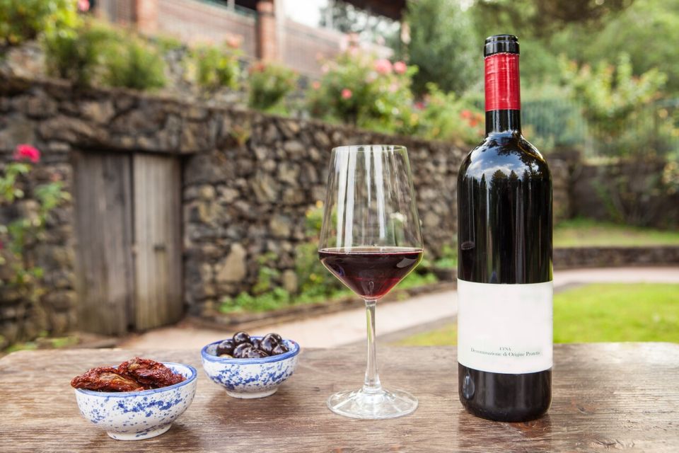 Mount Etna: Winery Tour and Tasting - The 2-hour flow: toast, walkthrough, then the tasting meal
