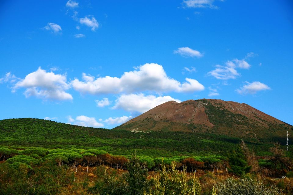 Mount Vesuvius 4-Hour Volcano Tour with Wine Tasting - Stop 1 and Stop 2: meeting points that keep you from wasting time