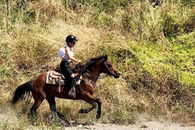 Mount Vesuvius Guided Horse Riding Tour with Sample Wine - How the horseback riding works on Mount Vesuvius