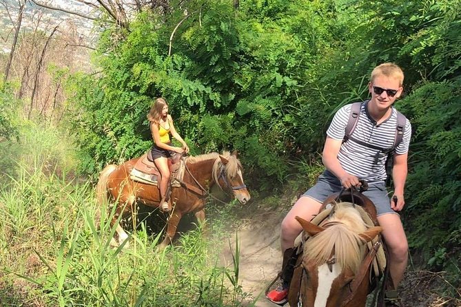 Mount Vesuvius Guided Horse Riding Tour with Sample Wine - Who should book this Vesuvius horseback ride (and who should skip)