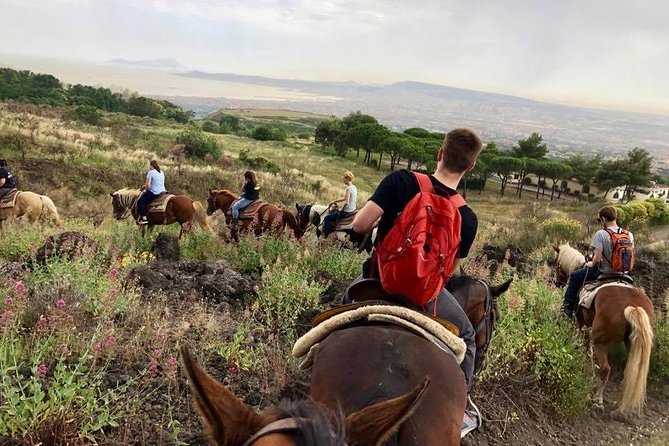 Mount Vesuvius Guided Horse Riding Tour with Sample Wine - Should you book this tour?