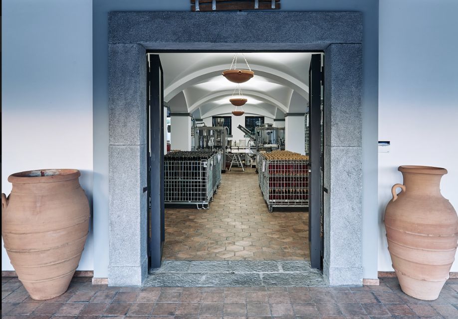 Mount Vesuvius: Vineyard Tour with Wine Tasting and Lunch - Should you book this Vesuvius vineyard tour?