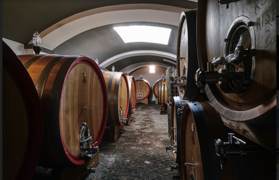 Mount Vesuvius: Vineyard Tour with Wine Tasting and Lunch - Timing and tour depth: what 1.5 to 2 hours really feels like