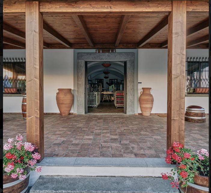 Mount Vesuvius: Vineyard Tour with Wine Tasting and Lunch - Value check: is $65 a fair deal?
