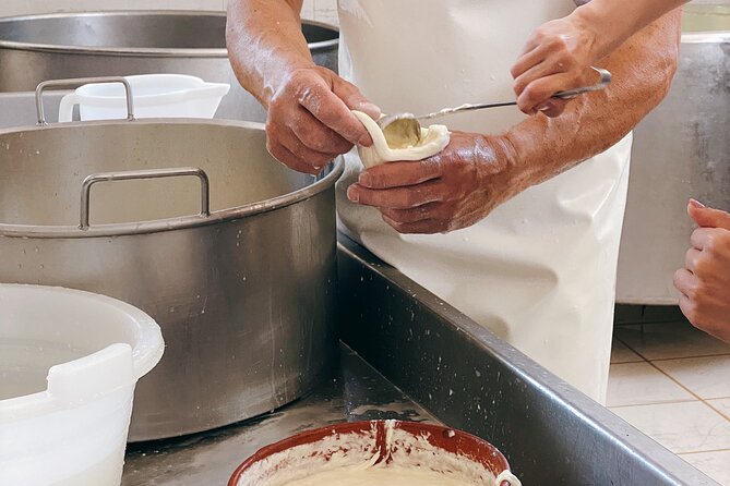 Mozzarella Experience - Cheese Tour and tastings to Masseria Fragnite - Rocco’s mozzarella and burrata demo: the craft you can see