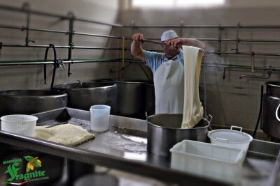 Mozzarella Experience - Cheese Tour and tastings to Masseria Fragnite - Dairy tour: where cow mozzarella, burrata, and stracciatella take shape