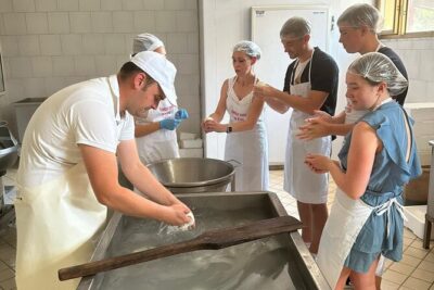 Mozzarella Experience with Tasting in Vico Equense - Inside the Laboratory: How Fior di Latte Starts as Curd
