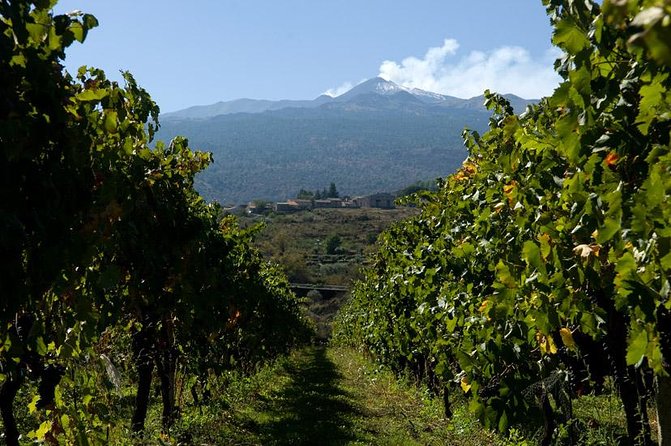 Mt Etna and Wine tasting tour from Catania - How the Optional Summit Upgrades Change the Day