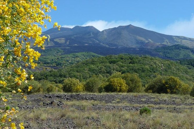 Mt. Etna nature and flavors half day Tour from Catania - Grotta dei Tre Livelli: short cave time, real volcanic atmosphere