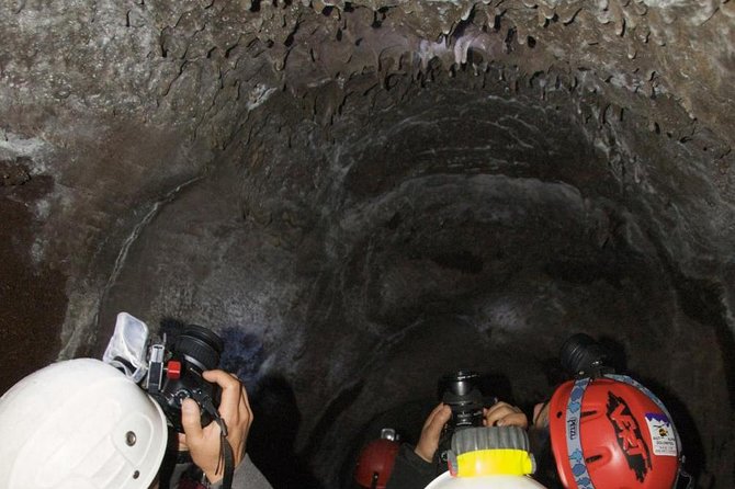 Mt. Etna nature and flavors half day Tour from Catania - What to know before you go (so nothing surprises you)