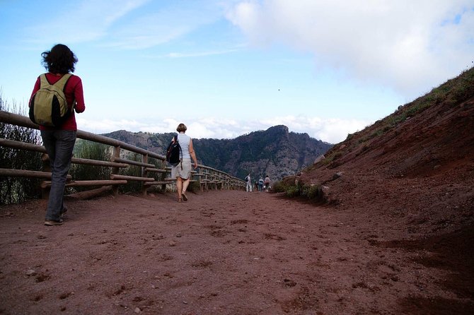Mt Vesuvius and Pompeii Tour by Bus from Sorrento - Lunch Between Sites: How to Decide and Avoid Regret