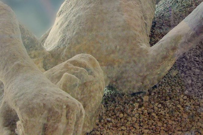 Mt Vesuvius and Pompeii Tour by Bus from Sorrento - Mt Vesuvius: The 1000m Start and How Crater Access Works