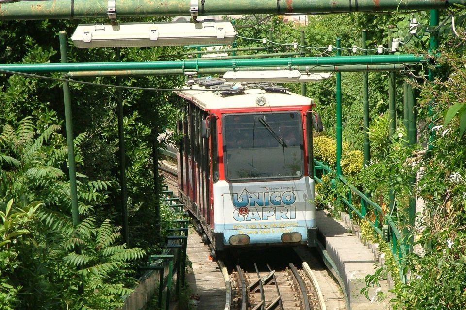 Naples: Day Trip to Pompeii and Capri - Capri by funicular: lemon groves up to the Piazzetta