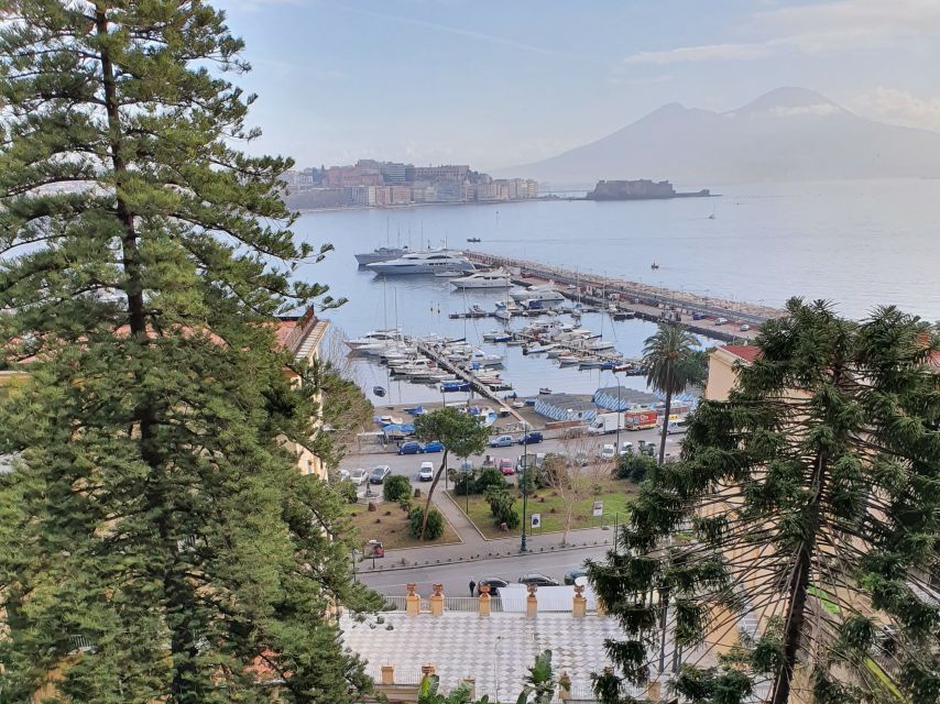 Naples: Naples, Pompeii, and Vesuvius Full-Day Tour - Torre del Greco and National Park Approach
