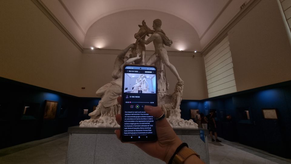 Naples: National Archaeological Museum audio guide - Getting in: you enter on your own, with no meeting point