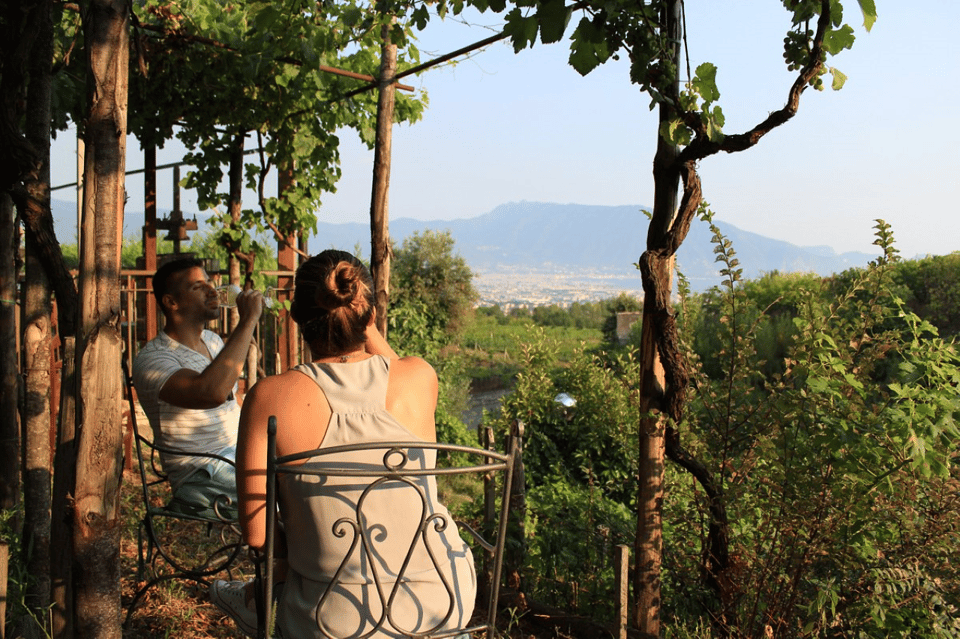 Naples: Pompeii and Herculaneum Tour with Tickets and Lunch - Getting picked up: how the day starts (and why it matters)