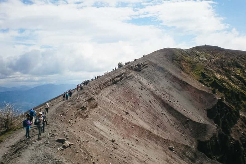 Naples: Pompeii and Vesuvius Day Trip - Vesuvius National Park drive, then the crater walk