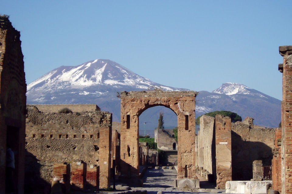 Naples: Pompeii, Herculaneum and Mt. Vesuvius Private Tour - Getting from Naples to the ruins without the hassle