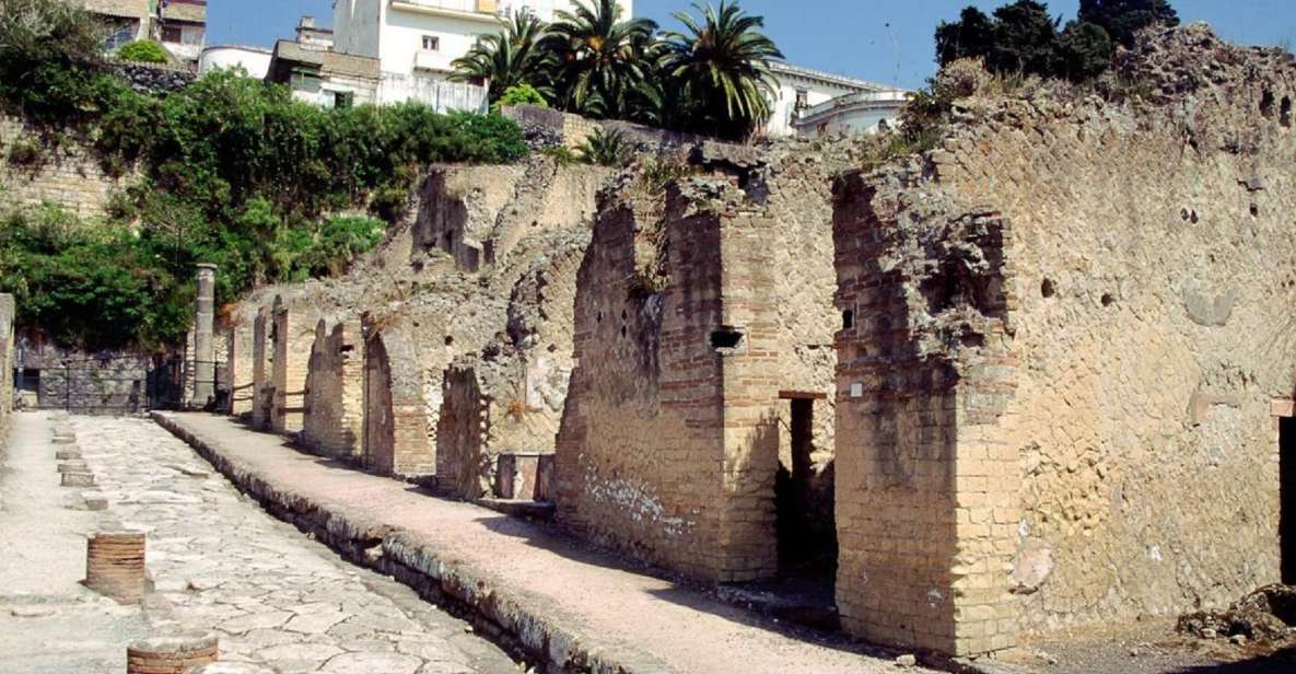 Naples: Pompeii, Herculaneum, and Vesuvius Tour by Minivan - Why This Naples Minivan Tour Works for a One-Day Campania Hit