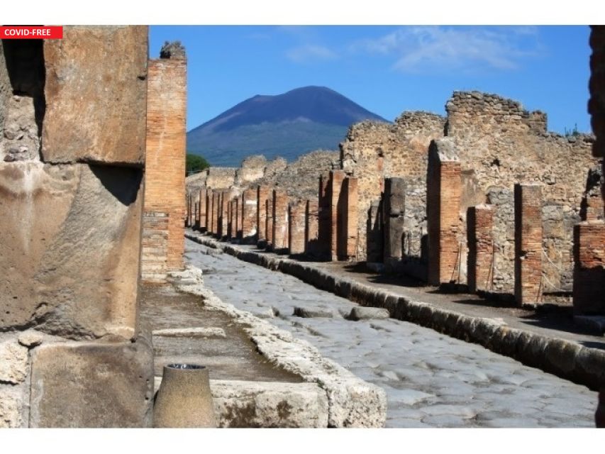 Naples: Pompeii, Herculaneum, and Vesuvius Tour by Minivan - Who Should Book This Tour (and Who Might Pass)