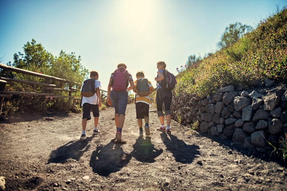 Naples: Pompeii & Mt. Vesuvius Day Trip with Tickets & Lunch - Who this day trip fits best