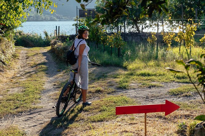 Naples Scenic E-Bike Ride to a Local Vineyard with Meal - The vineyard stop: Lake Averno wine tasting and a real family operation