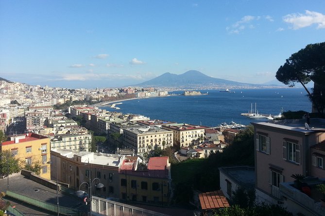 Naples Shore Excursion: Naples City and Pompeii Half Day Sightseeing Tour - Meeting at Stazione Marittima or Pier 21 without losing time