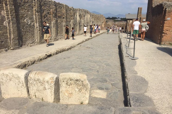 Naples Shore Excursion: Pompeii and Sorrento Day Trip - Price and value at $110.56: what you’re really paying for