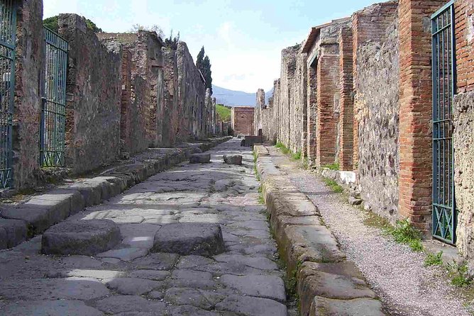 Naples Shore Excursion: Pompeii Half Day Trip from Naples - Port Pickup and Meeting Points: Where the Day Can Go Smooth or Soggy