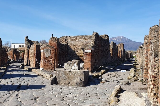 Naples: Tour of Mt Vesuvius and Pompeii w/ Lunch & Wine tasting - Pompeii in 2 Hours: How the Streets Become a Story Instead of Just Ruins