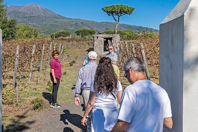 Naples: Tour of Mt Vesuvius and Pompeii w/ Lunch & Wine tasting - Timing, Group Size, and Why the Bus Ride Matters